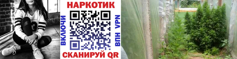 Наркошоп Елизово Амфетамин  Марихуана  Меф  ГАШ  Кокаин  А ПВП 