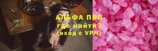 ешки Гусев