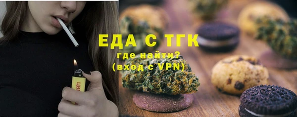 дживик Гусь-Хрустальный