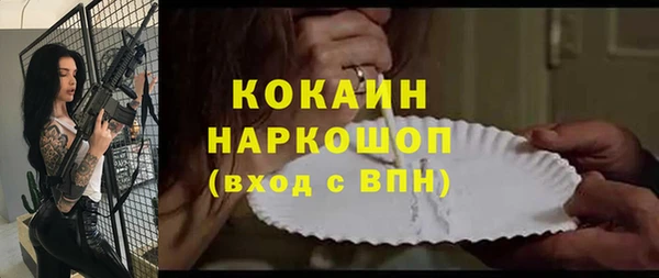 дживик Гусь-Хрустальный