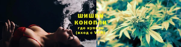 гидра Дмитриев