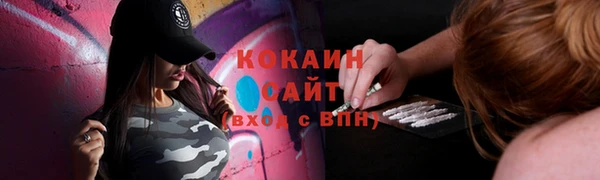 гидра Осинники