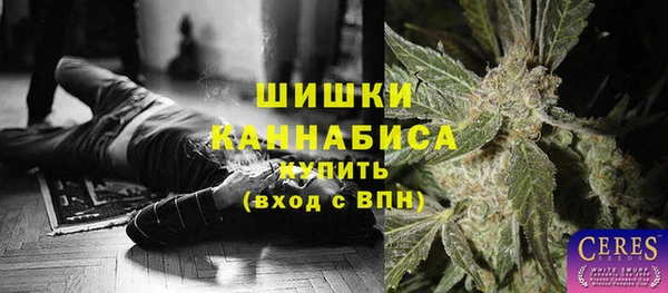 ешки Гусев