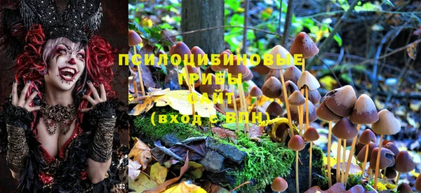 гашишное масло Гусиноозёрск